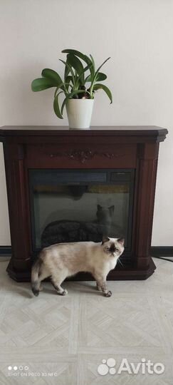 Камин с порталом