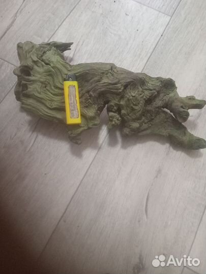 Мангровая коряга