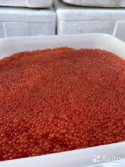 Красная икра оптом