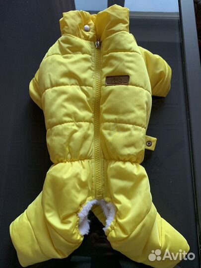 Комбинезон на маленькую собаку