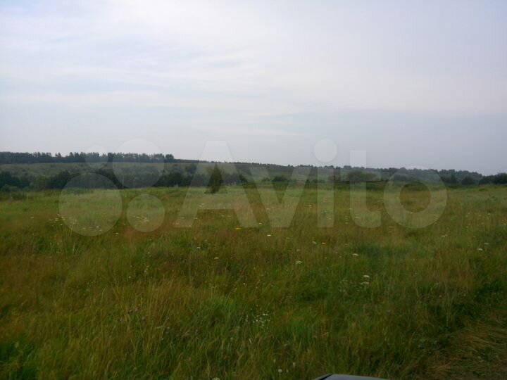 Участок 25 сот. (ИЖС)