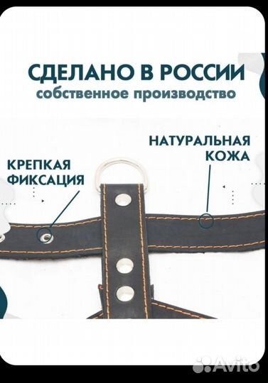 Шлейка для собак