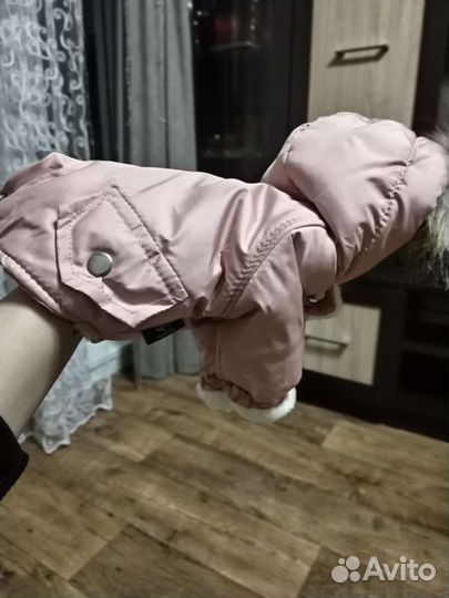 Куртка для собак мелких пород