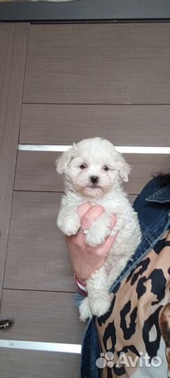 Мини и micro снежинки