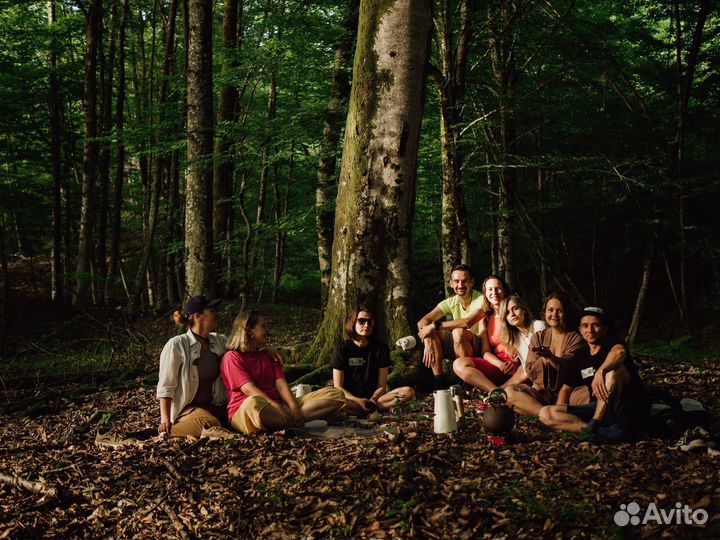 Индивидуальные экскурсии на чайные плантации ZEN