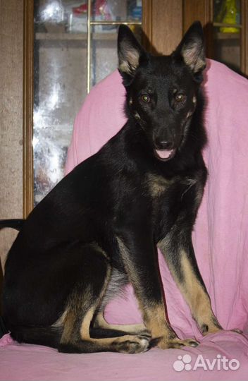 Счастье в дом