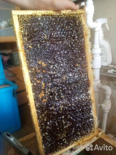 Мед урожай 2023г