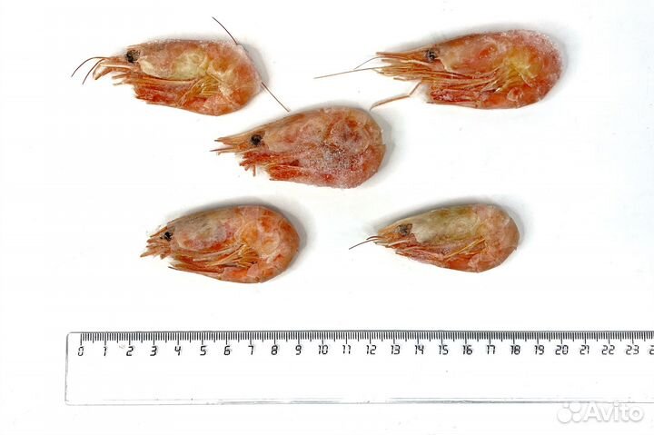 Креветки северные 70/90, Китай