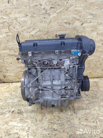 Двигатель Мотор Двс Ford focus 2 c-max shda
