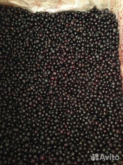 Брусника, клюква, смородина, черника, вишня, ягода