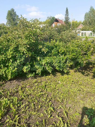 Участок 8,9 сот. (СНТ, ДНП)