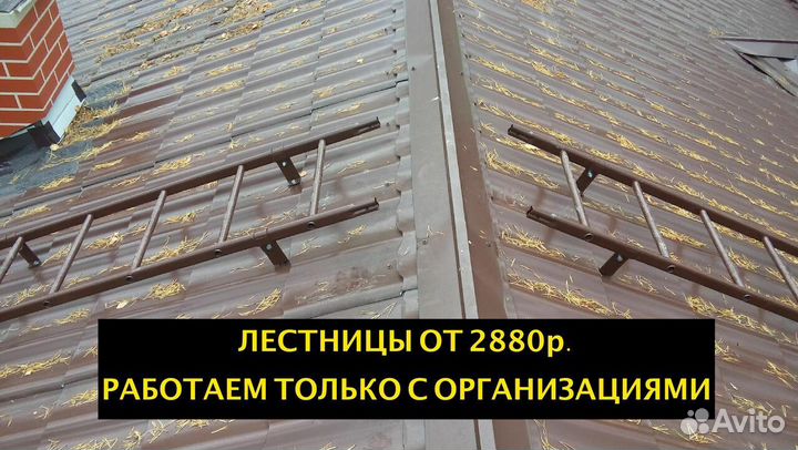 Лестницы кровельные только для организаций