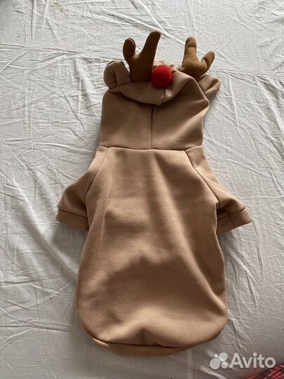 Костюм для собак