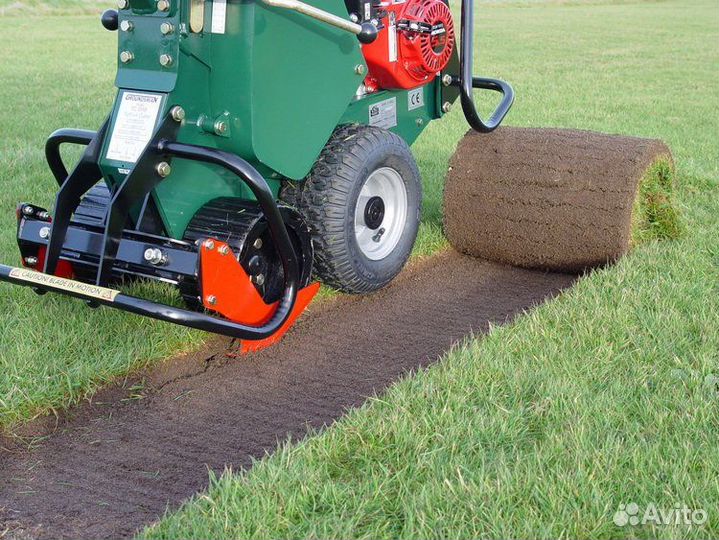 Рулонный газон с бесплатным замером