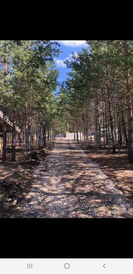 Участок 60 сот. (ИЖС)