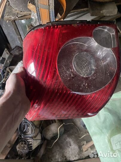 Стопарь avensis