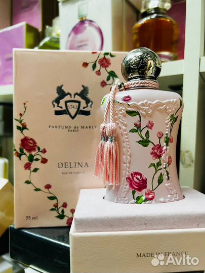 Delina Limited Edition