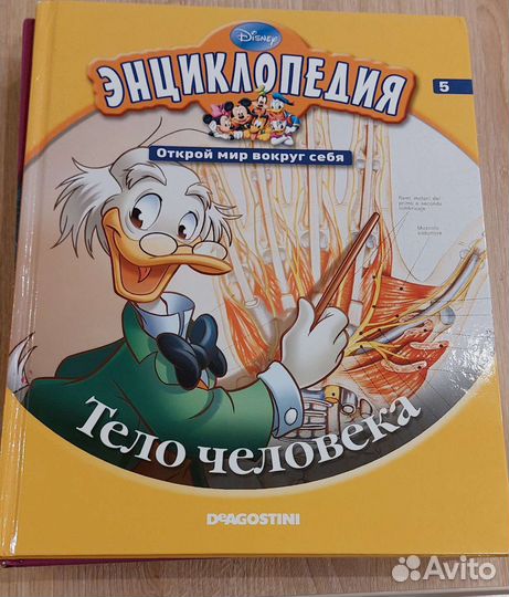Детская энциклопедия Disney