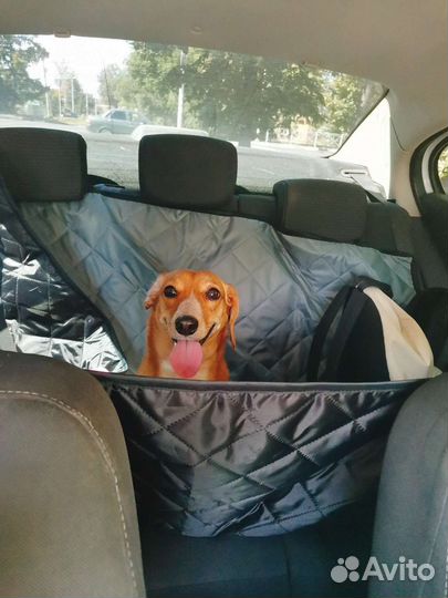 Зоотакси, перевозка животных, собаки, кошки, такси