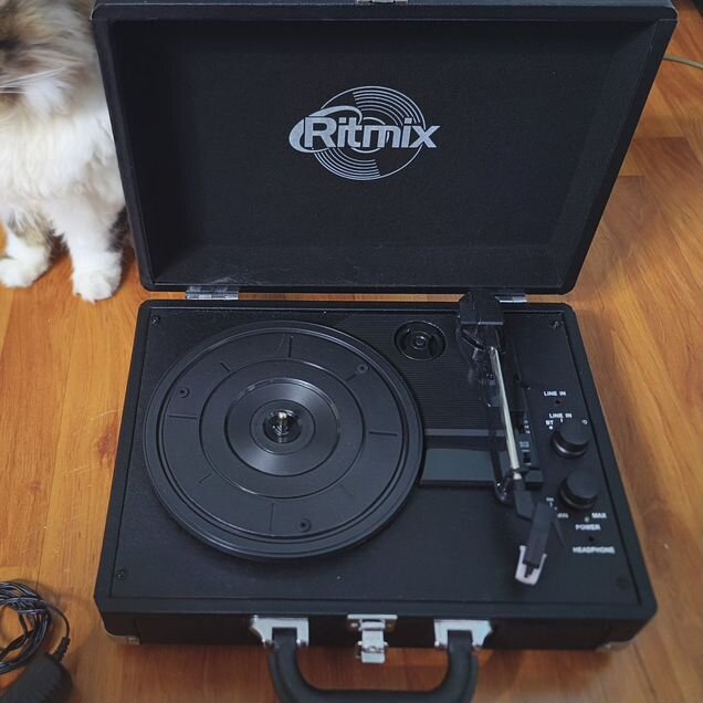 Виниловый проигрыватель Ritmix LP-120B