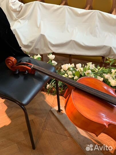 Уроки музыки, виолончели