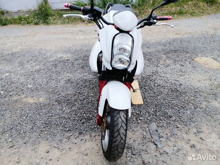 Kawasaki ER 6 N, F, honda cb, yamaha xj, suzuki sv