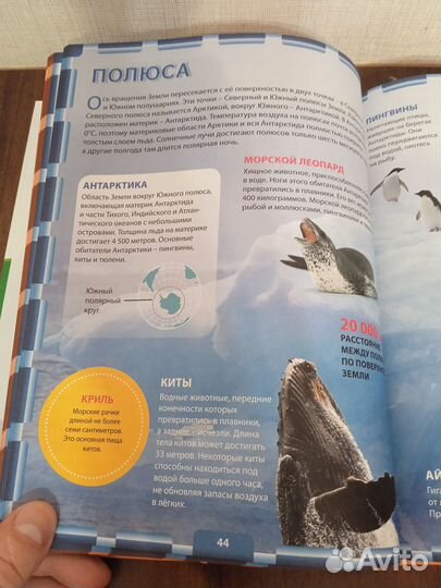 Новейшая энциклопедия для будущих отличников