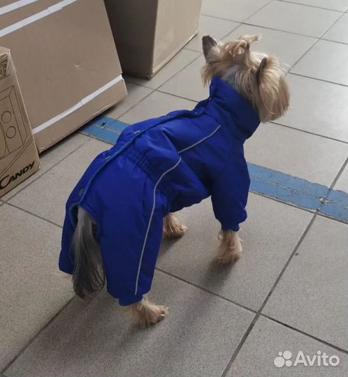 Зимний комбинезон для маленькой собаки Кобель