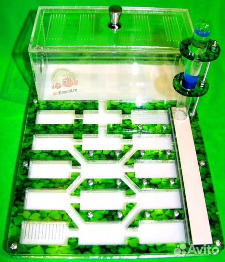 Муравьиные фермы с муравьями Пермь гарантия