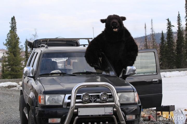 Костюм медведя