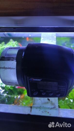 Автокормушка для рыб