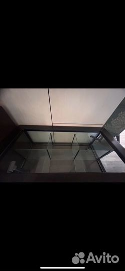 Аквариум для устриц