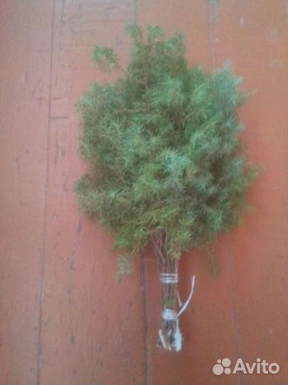 Веник для бани