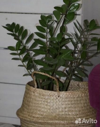 Корзина Флодис, IKEA нова