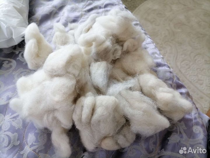 Собачья шерсть пух