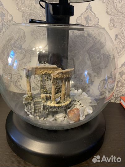 Аквариум Tetra