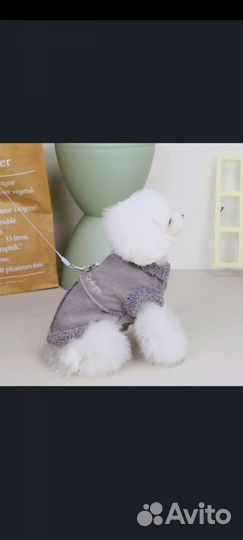 Жилетка для маленьких собак