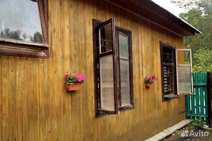 Постой лошадей под прокат