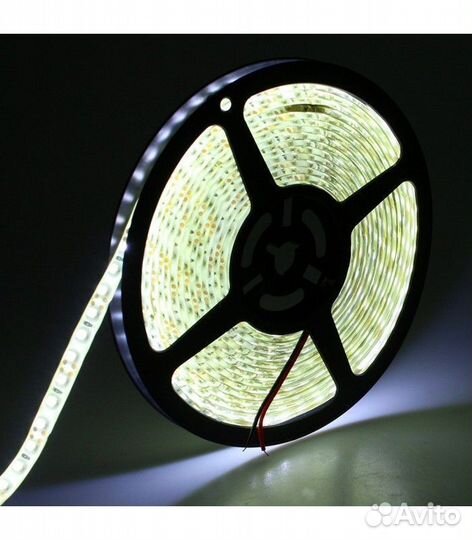 Светодиодная лента 120д/м, IP65. 12В. Хол.б