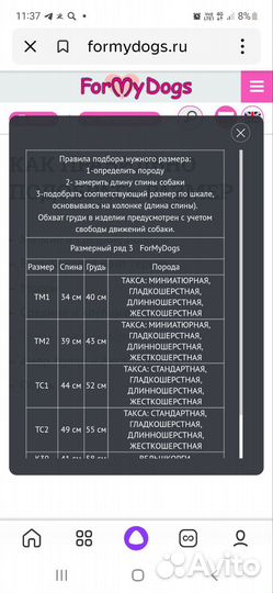 Комбинезон для таксы