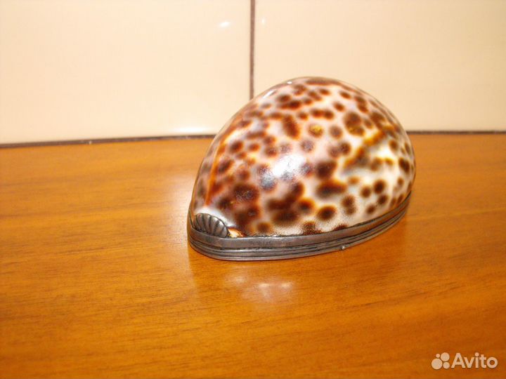 Табакерка -раковина,серебро 84 18 век