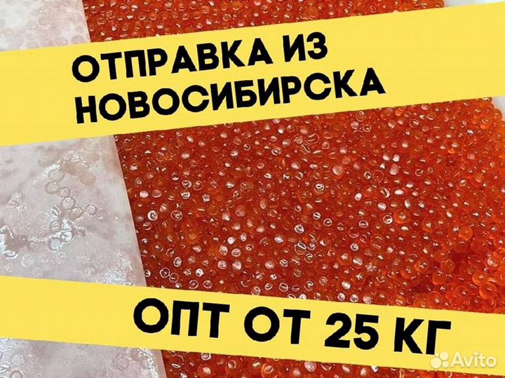 Красная икра кеты, улов 2023 года