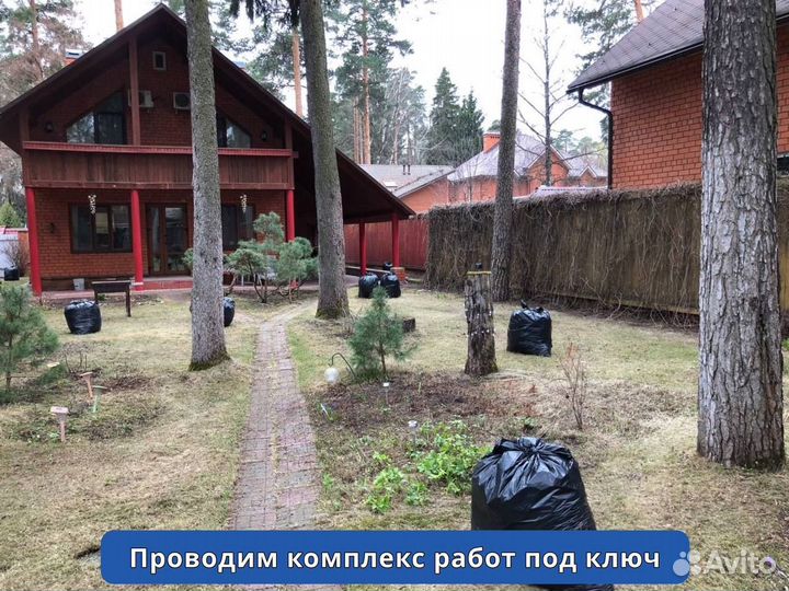 Спиливание деревьев, удаление и валка