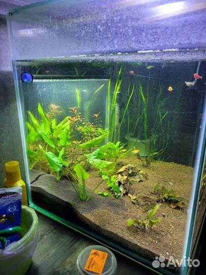Аквариум 150 литров