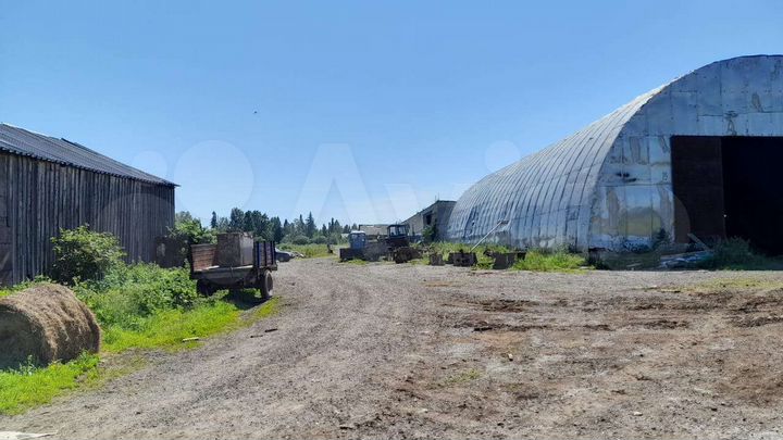 Участок 1,7 га (СНТ, ДНП)