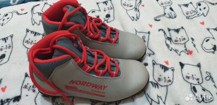 Лыжные ботинки nordway