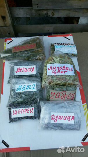 Веники, берёза, липа, вишня,дуб