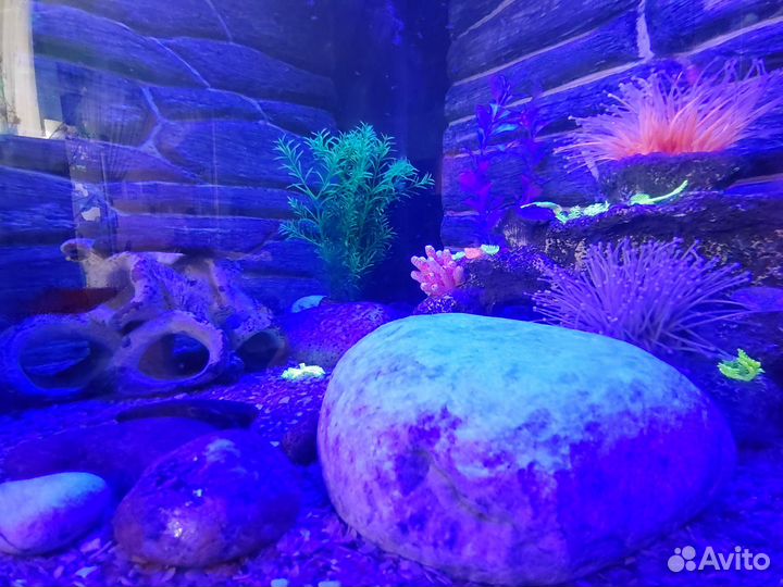 Грунт камни для аквариума