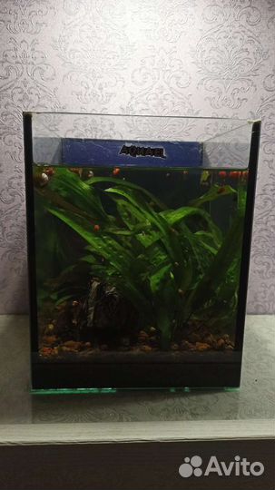 Аквариум aquael