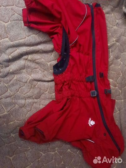 Комбинезон для собаки asmpet